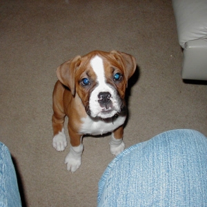 I'm sitting, now where's my cookie???