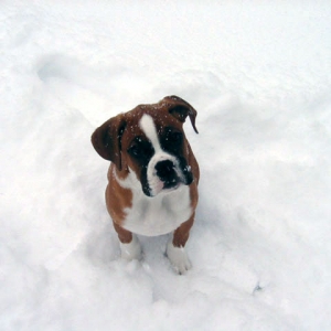more snow??