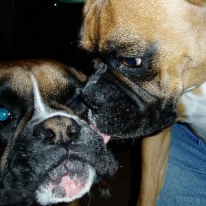 Motherly Love