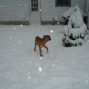 Look at all this Snow!!