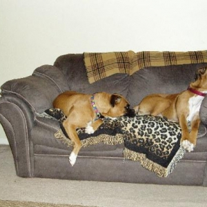 Couch Taters