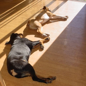 Enjoying the sunshine
