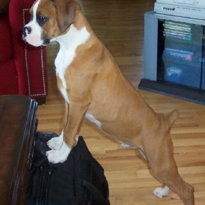 The Stretch