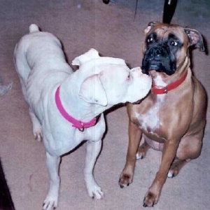 Mom, Does she have to kiss me?