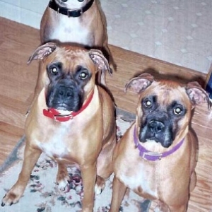 See..we can sit pretty