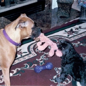 Mom!! Make him give me that toy!
