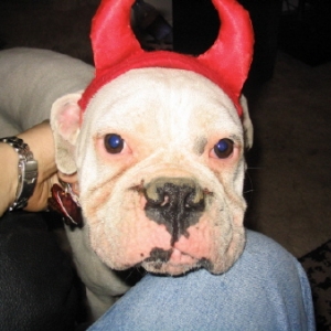 My Little Devil