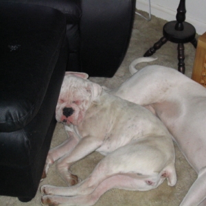 Sleepy Time
