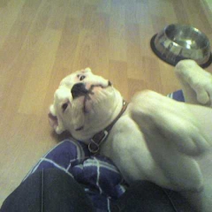 Godzilla pose!!