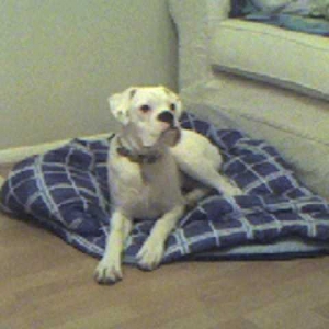 bailey56_1_