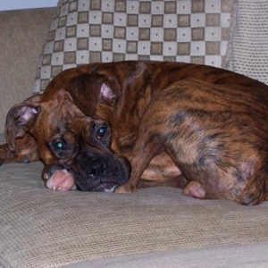 Would you guys stop taking my picture and let me sleep?!