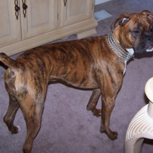 I'm trying to look serious here