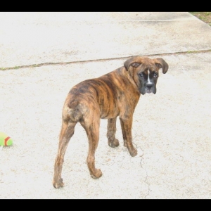 Belle 3-3-05