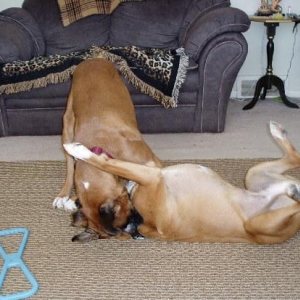 Playtime