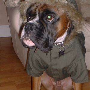 brando-in-his-parka