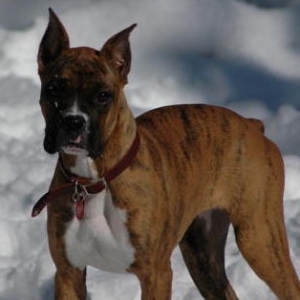 Brooke meets the snow!