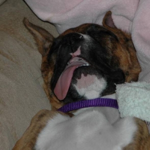 Tongue girl