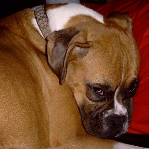 Hey! I was sleeping!!