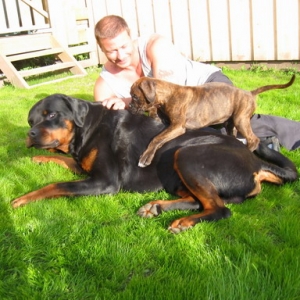 my family
