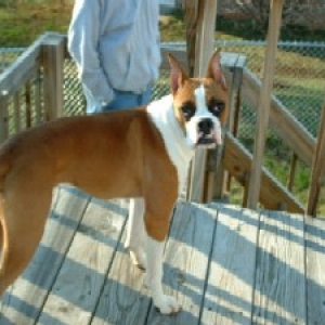 I know I'm handsome