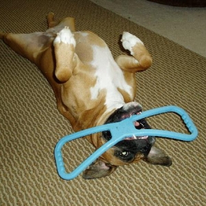 he he he he he he