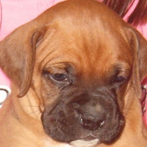 Newest edition to the family