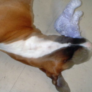 Silly girl