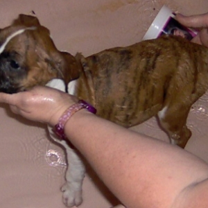 Kira's 1st bath
