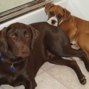 Boys chillin'