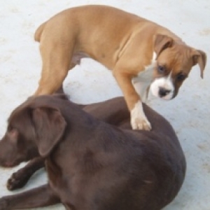 C'mon...let's play!!