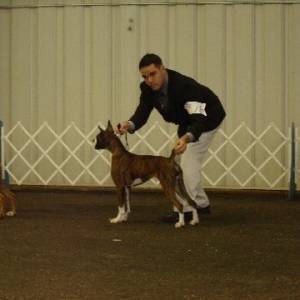mine and z's first show