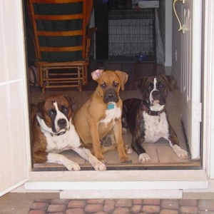 Waiting for permission to go outside