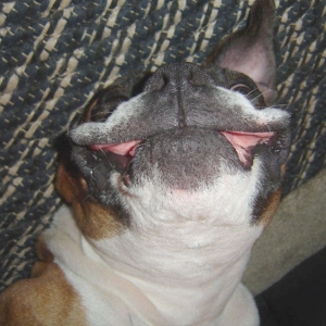 What a big smile you have!