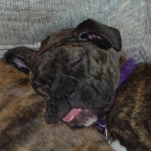 Go away! Let me sleep
