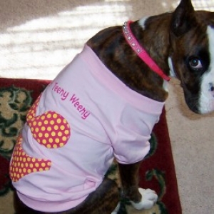 Mom went to petsmart and all I got was this shirt