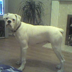 I'm getting bigger by the day!