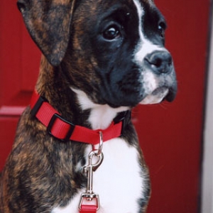 15 weeks