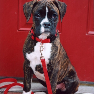 Sittin' on the front step.