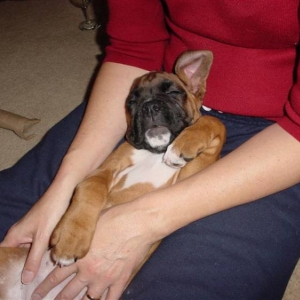 Sleeping Bella