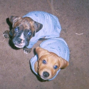 Pajama Babies