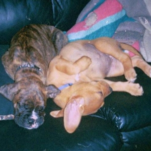 Sleeping Again