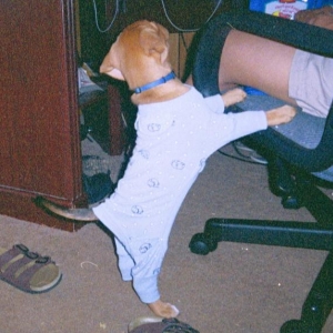 Rosie's Pajamas