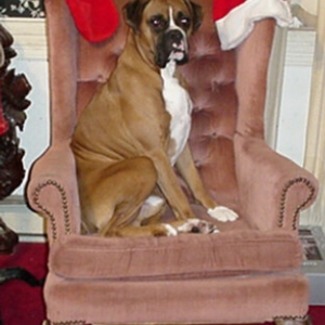 Bradies dad (buddy)