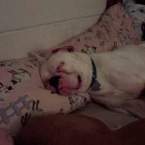 Sleepy Albert!