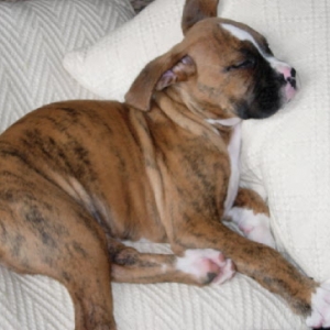 Sleeping on a cloud