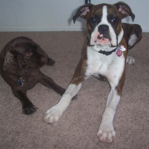 Sadie & Justice 8 months