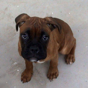 I'm almost 3 months