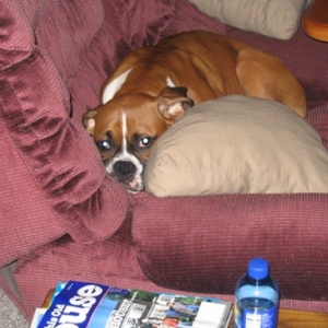 Jeter chillin on the couch