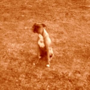 watching us