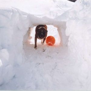 Snow tunnel